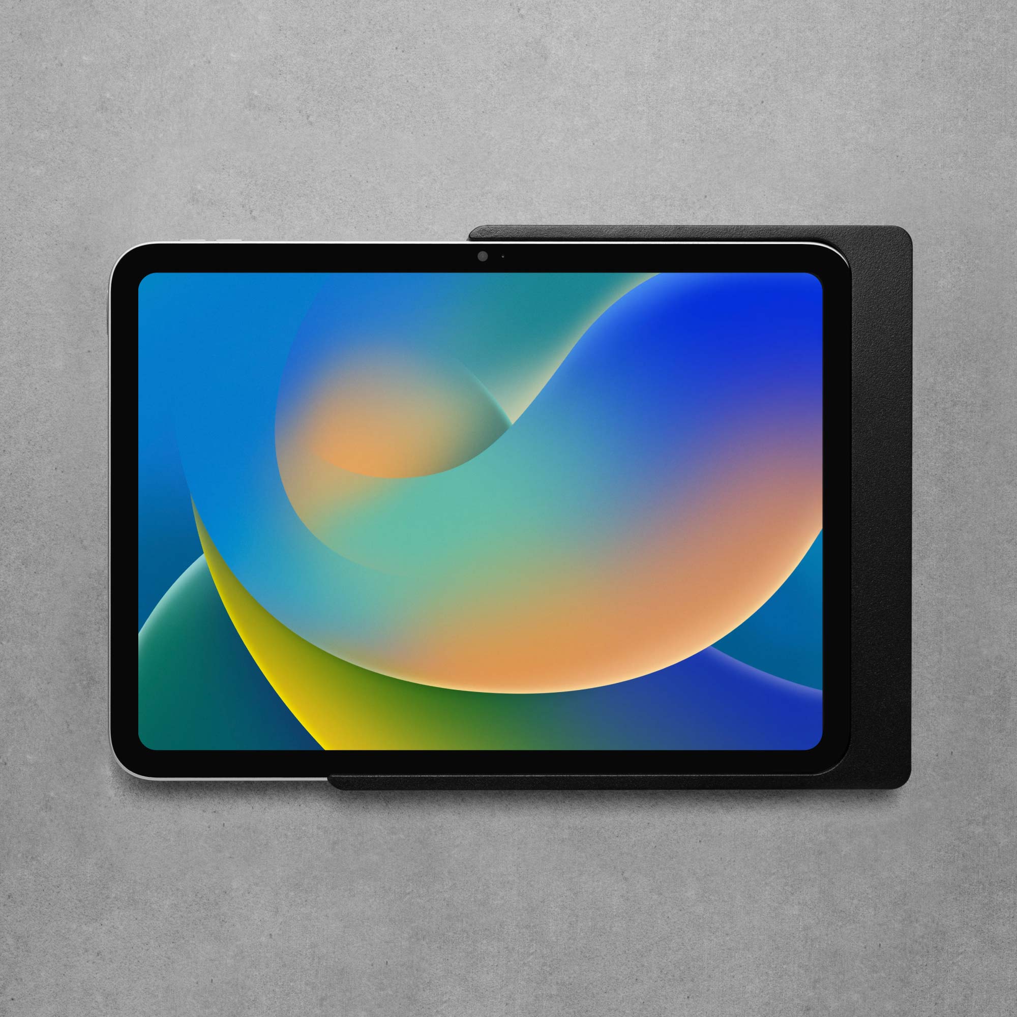 Companion Wall Home pour iPad Pro