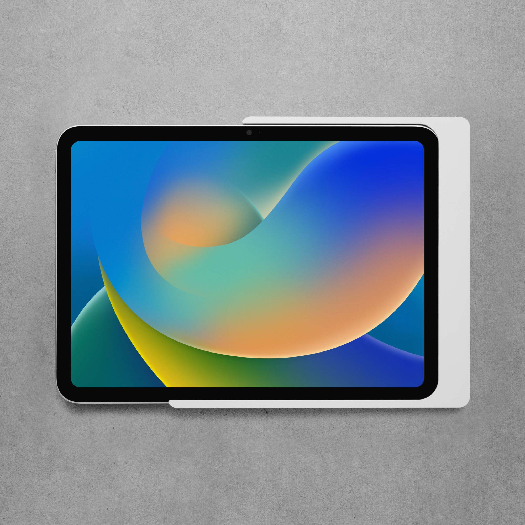 Companion Wall Home pour iPad Pro