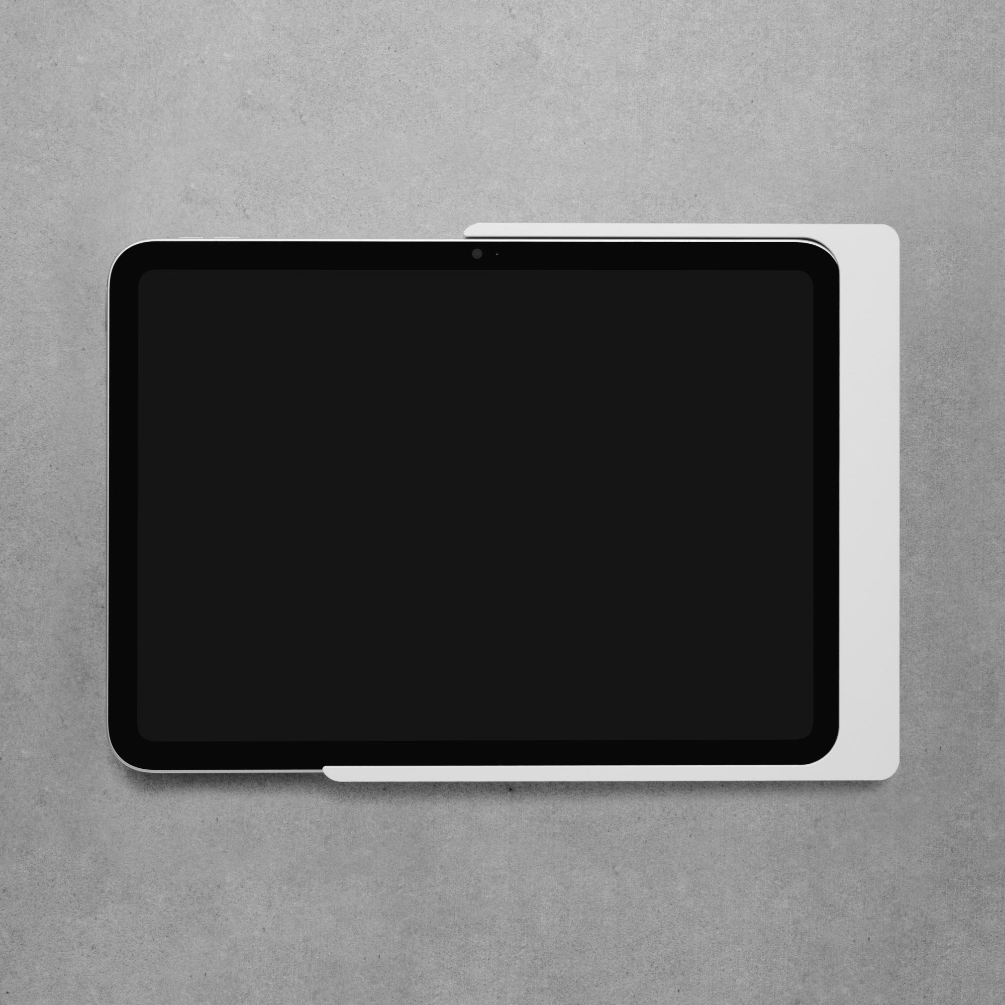 Companion Wall Home pour iPad Pro